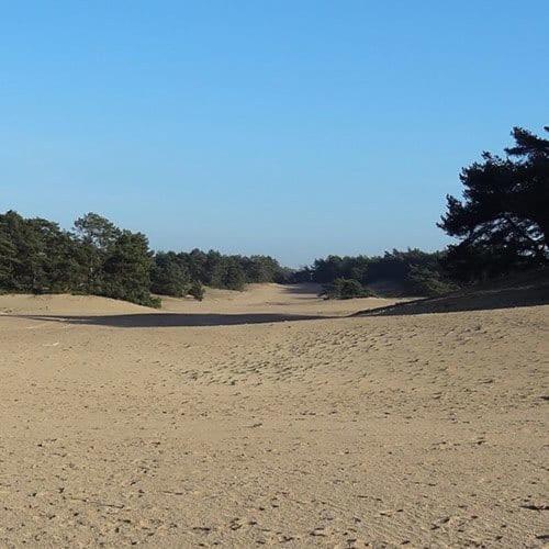 Vakantie Op De Veluwe Lunteren Exterior foto